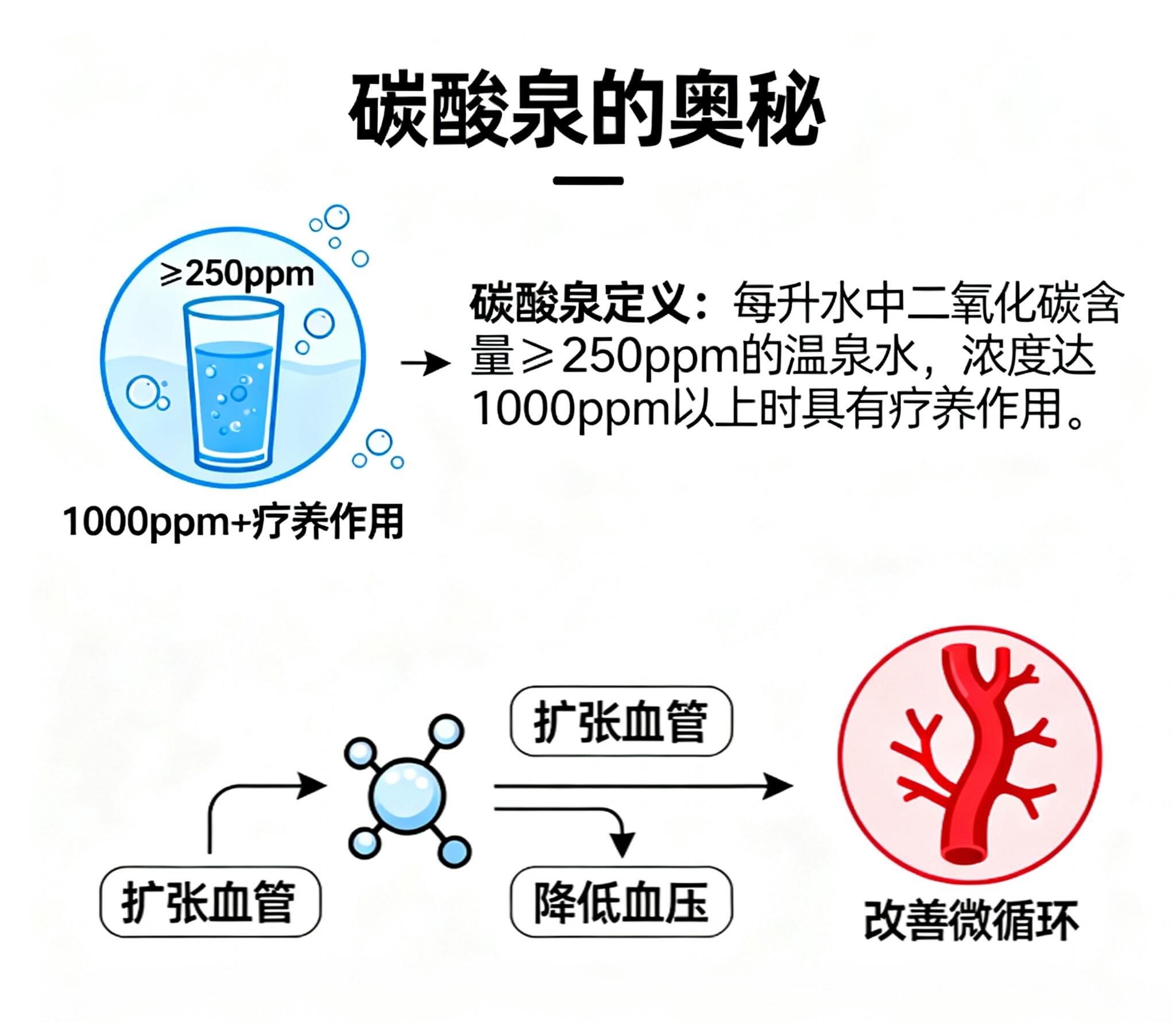 1772843083161975.jpeg 13417254907858393.jpeg