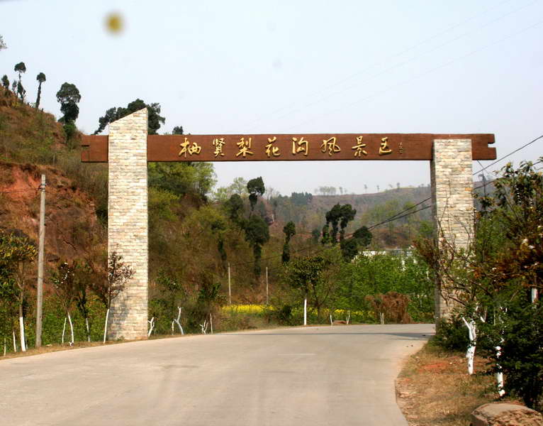 点击在新窗口浏览图片
