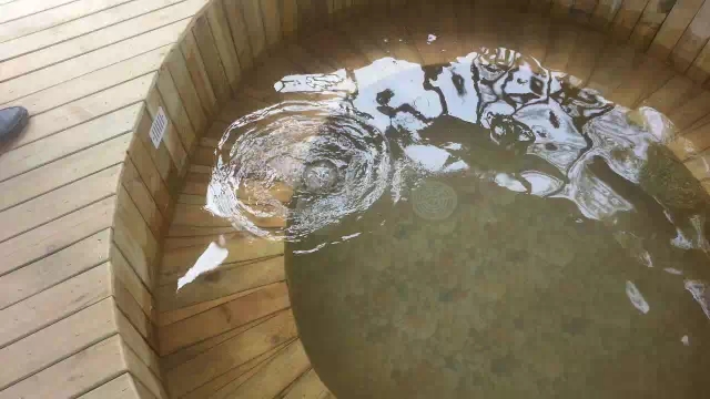 点击在新窗口浏览图片