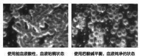点击在新窗口浏览图片